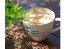 GOOD MORNING CAFEのアルバイト