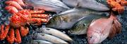 ドラッグストアmac大津店 鮮魚部門のアルバイト写真(メイン)