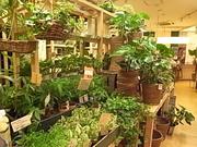インナチュラル 富士見店のアルバイト写真2