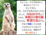 日本マニュファクチャリングサービス株式会社A03/hiro120420のアルバイト写真(メイン)