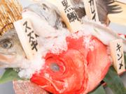 贔屓屋 中之島ダイビル店のアルバイト写真1