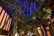 京町恋しぐれ 新宿のアルバイト小写真1