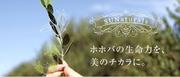 株式会社サンナチュラルズ 本社のアルバイト写真(メイン)
