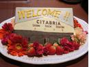 CITABRIA FOOD LAB�̃A���o�C�g