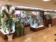 パレフローラ 鶴屋百貨店のアルバイト写真(メイン)