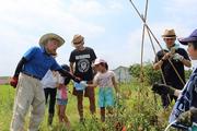 マイファーム宝塚山本農園のアルバイト写真(メイン)