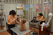 ペットワールドアミーゴ福島西店のアルバイト写真(メイン)