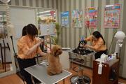 ペットワールドアミーゴ福島西店のアルバイト小写真2