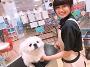 ペットワールドアミーゴ福島西店のアルバイト小写真3