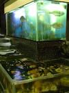 地魚屋 大宮店アルバイト写真