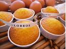 Lobssier ���R���u�̃A���o�C�g