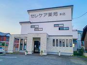 セレケア薬局 宮崎支店のアルバイト写真2