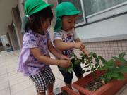 中嶋病院保育園(土日祝パート)のアルバイト写真1