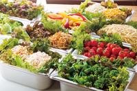 ステーキガスト 春日部緑町店<018195>のフリーアピール、みんなの声