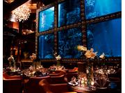 Aqua Restaurant&Bar LUXIS