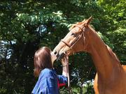 ヴィテン乗馬クラブ・クレイン金沢のアルバイト小写真3