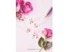 �T�}���T�e�B�A���u���C�_��&�W���G���[����{�X�̃A���o�C�g