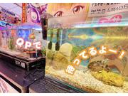 Cafeシャローム米ヶ崎店のアルバイト求人写真2