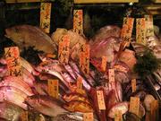 魚きん 調布店