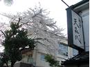 旭鮨総本店 天喜代 下高井戸店のアルバイト