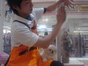 ペッツファースト 蒲原店の写真2