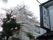 旭鮨総本店 天喜代 相模大野店のパート求人