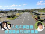 株式会社柳瀬橋自動車教習所のアルバイト写真(メイン)