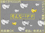 ドコモ光ヘルパー/溝の口店/神奈川のアルバイト写真(メイン)