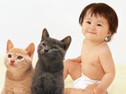 おそうじ本舗【札幌市東区】アルバイト写真