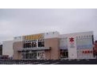 TSUTAYA �L���X�̑�ʐ^