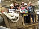BREEZE �����V�h�X�̃A���o�C�g