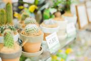 Hare no hi 神戸ハーバーランド店のアルバイト写真3