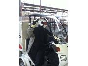 銀のさら 橋本店のアルバイト求人写真2