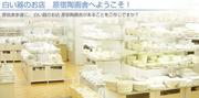 陶絵付教室 原宿陶画舎のパート求人