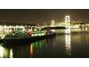 TOKYO CRUISE �����C�l�����c�Ə��̃A���o�C�g
