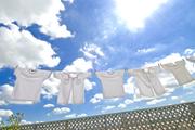 クリーニングの白洋舎 種池工場のアルバイト写真2