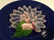 魚菜料理 青柚子 秋葉原店のアルバイト小写真3