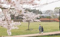 セレケア薬局(薬剤師)のフリーアピール、みんなの声