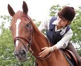 乗馬クラブクレイン千葉のアルバイト写真(メイン)