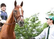 乗馬クラブクレイン千葉のアルバイト写真2