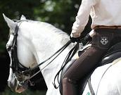 乗馬クラブクレイン千葉のアルバイト写真3