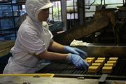 株式会社高丸食品 本社工場のアルバイト写真2