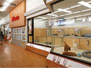 ペットプラステン・テン 苗穂店のアルバイト写真1