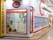 ペットプラステン・テン 苫小牧店のアルバイト写真2