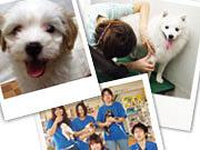 COO&RIKU �L���X�A���o�C�g�ʐ^