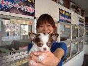 COO&RIKU �L���X�A���o�C�g�ʐ^