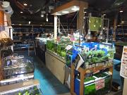 ペットハウスプーキー アルコ半田店のアルバイト小写真1