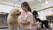 ペットハウスプーキー アルコ半田店のアルバイト写真2