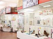 ビバペッツテン・テン 小樽店のアルバイト写真3