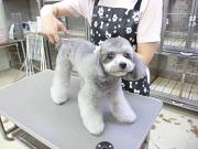 ペットハウスプーキー 刈谷店のアルバイト小写真1